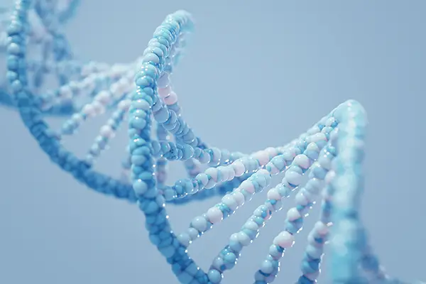 TIME Stem Cell Longevity
