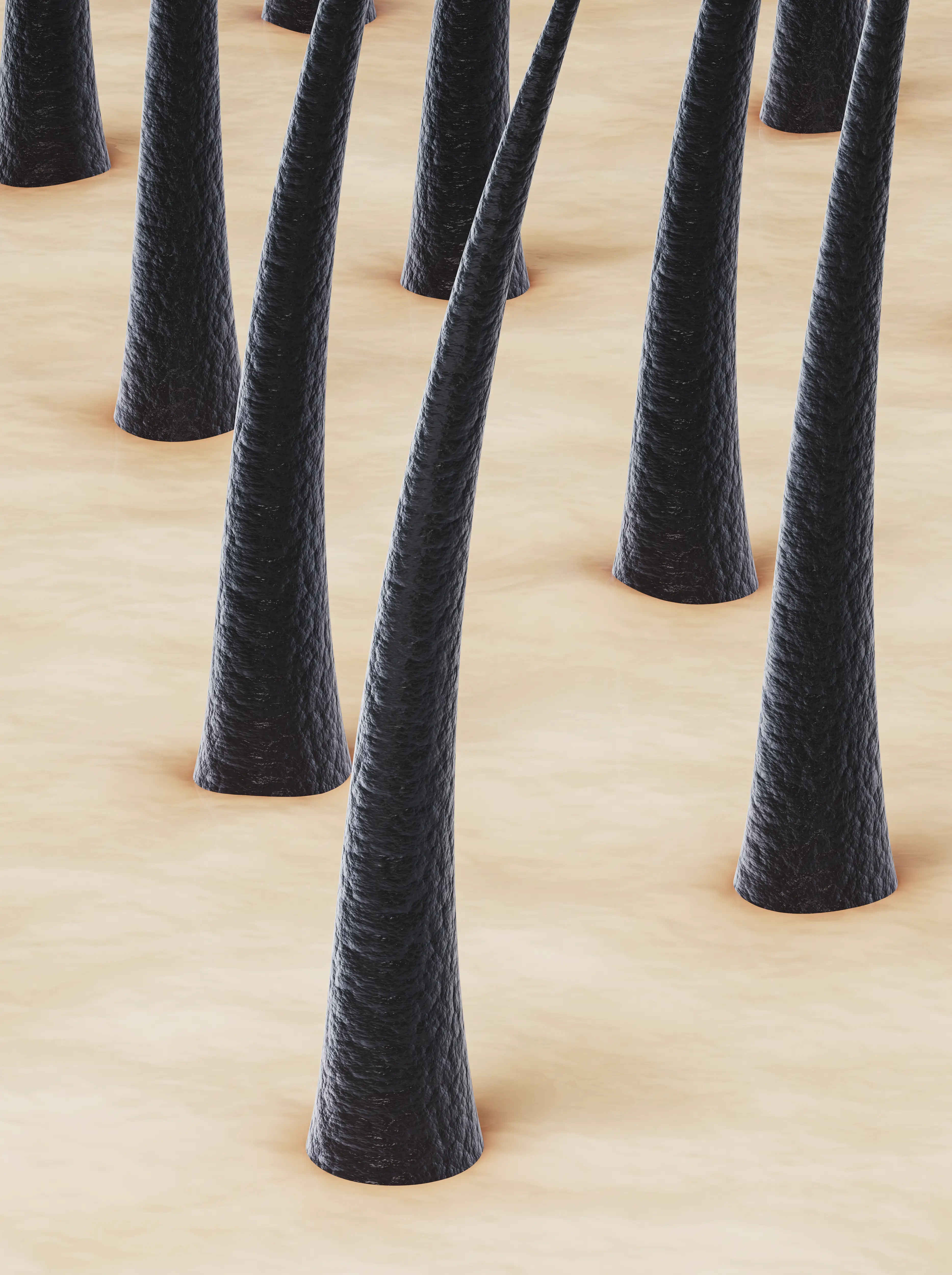 FUE Hair Transplant 결과
