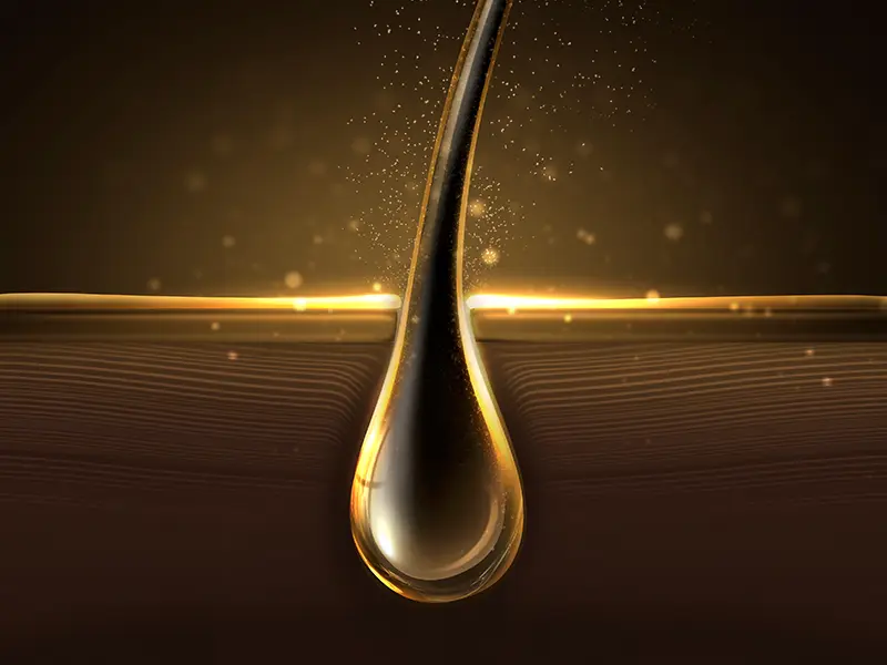 Growth Factor Action on Hair Follicles