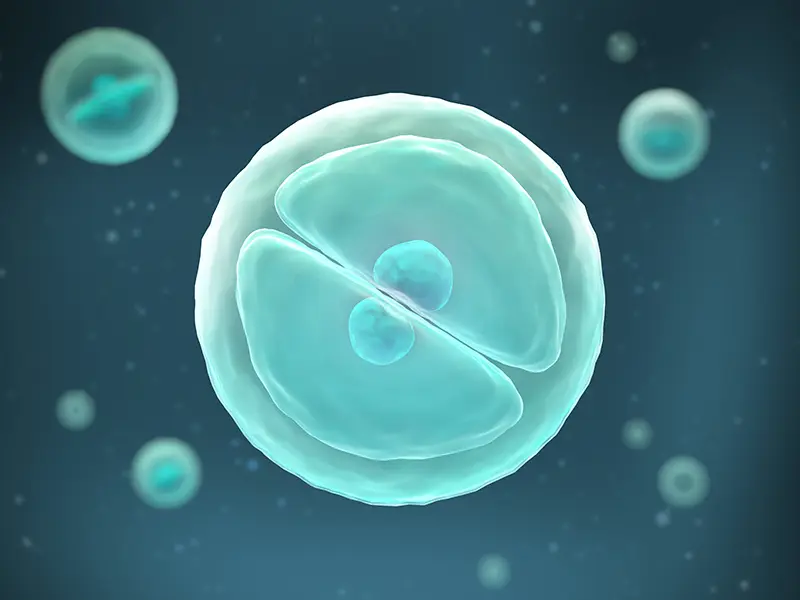 UC-MSC Therapy 치료